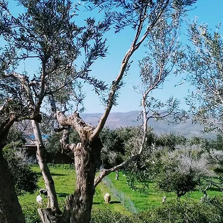 House Karystos (Evia)